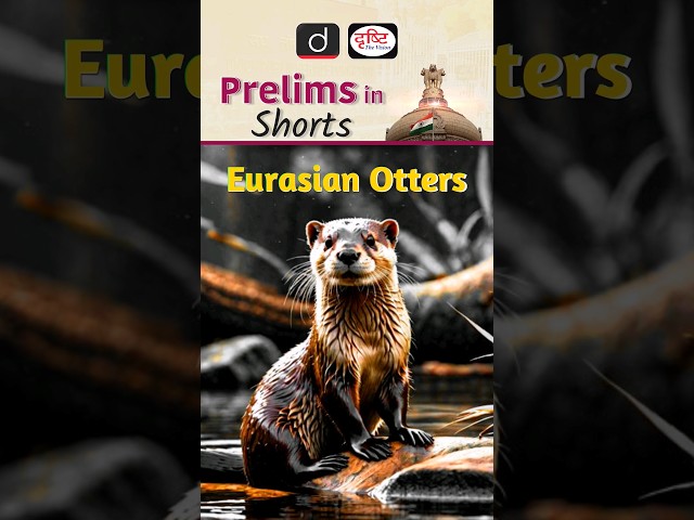 Eurasian Otters | UPSC Prelims 2024 | Drishti IAS English