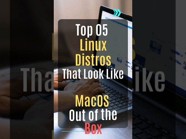 Top 05 Linux Distros That Look Like a MacOS Out of The Box! #linux #macos