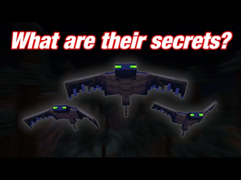 The Nightmare of the Phantoms | Minecraft Deep Dive