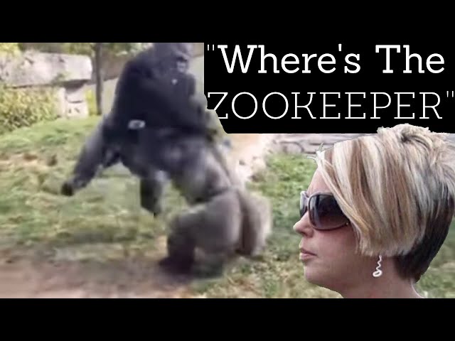 Karen vs The Zoo