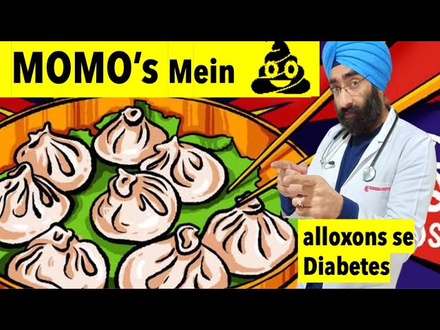 Momos are good or Bad for health? Do Maida have alloxan that cause diabetes #momo
