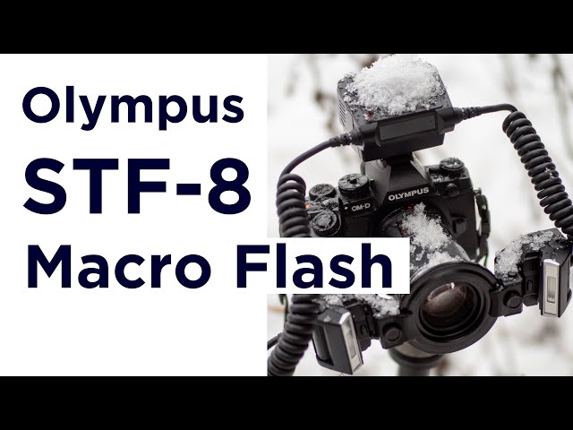 Olympus STF-8 Macro Flash Review