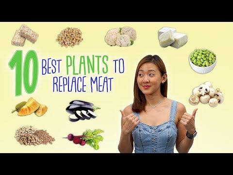 Vegan / Vegetarian Recipes (Plant Based)
