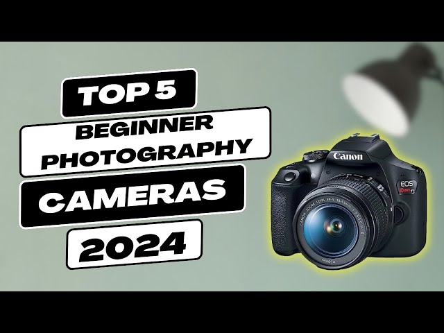 Starting Your Photography Journey? Top 5 Cameras for Photography Beginners in 2024
