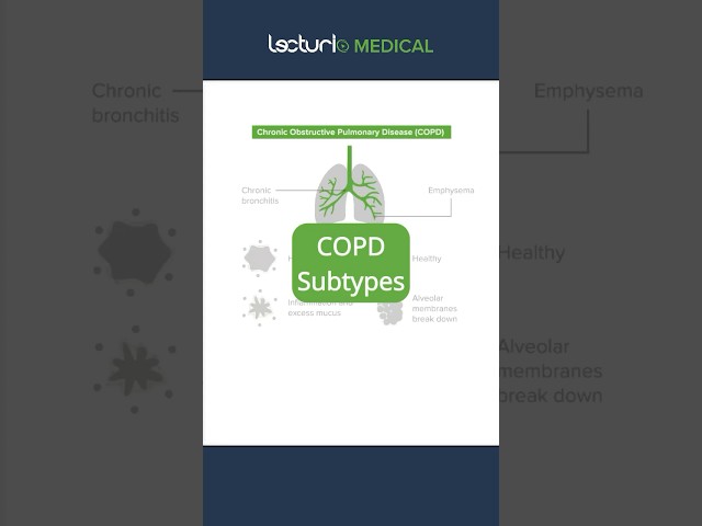 Exploring COPD: Bronchitis vs. Emphysema 🌬️ #LungHealth #MedicalEducation  #usmlestep