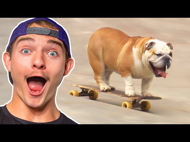 Animals That Went More Viral than Mr. Beast