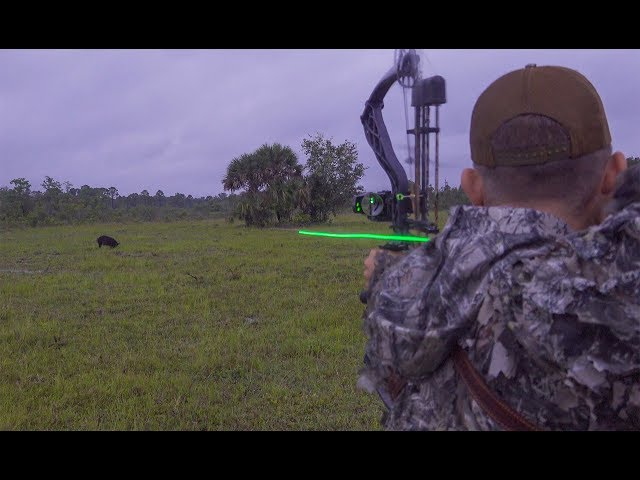 Wild Boar Spot n' Stalk with Burris Oracle {Catch Clean Cook}