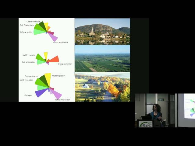 Managing for Multiple Ecosystem Services in an Agricultural Landscape in Quebec - Elena Bennett