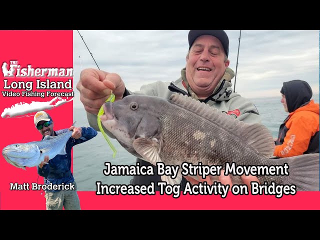 April 18th 2024 Long Island Metro Fishing Report with Matthew Broderick