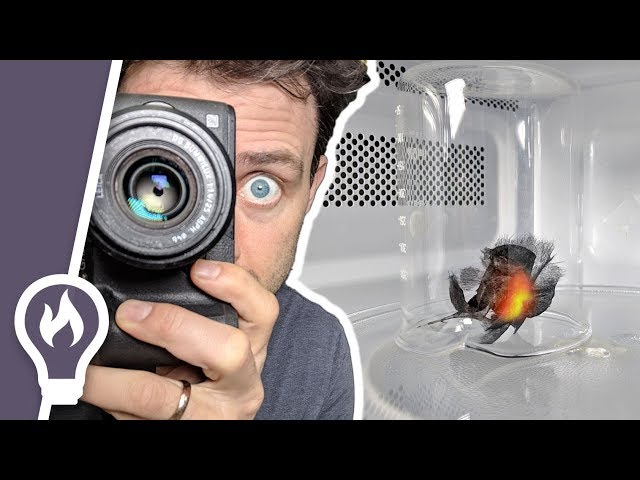 How to film the inside of a microwave (2 ways)