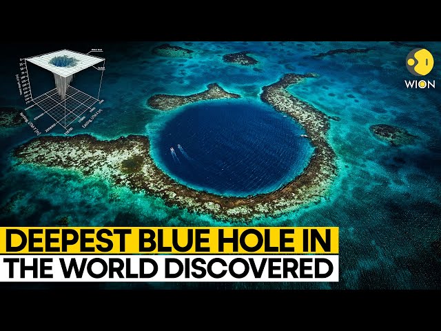 World's deepest Blue Hole discovered in Mexico | WION Originals