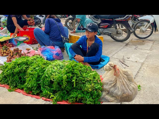 Orphan boy - Picking Forest Vegetables And Catching Mountain Crab Go To Market To Sell #orphanboy