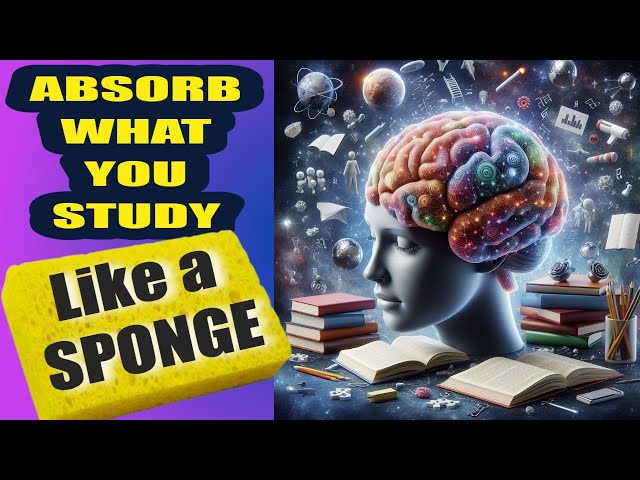 How To ABSORB WHAT YOU STUDY LIKE A SPONGE. 7 Smartest Strategies