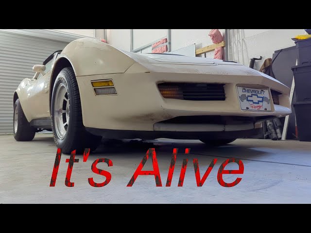 81 Corvette Rocker Nuts, Shop Cart, Brake Switch and a Joy Ride.