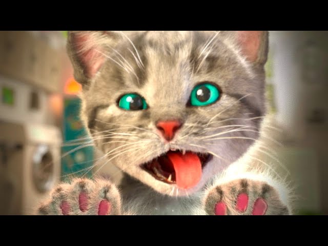 Cute Kitten Little Cat Adventure  Preschool Educational Kids Count 1 to 10 Best Toy Learning Video