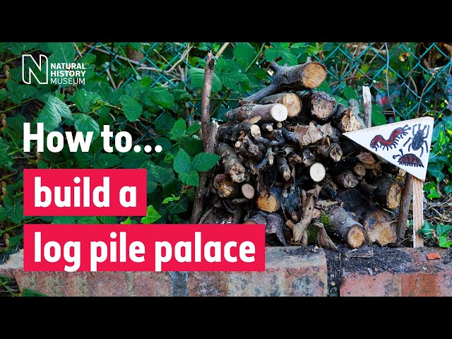 How to build a log pile for insects and other wildlife to make a home | Natural History Museum