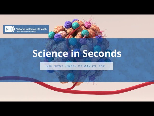 NIH Science in Seconds - Week of May 29, 2023