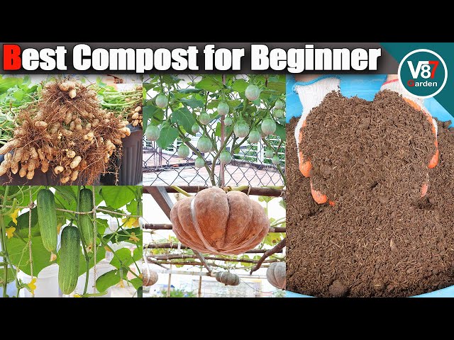 How to Make Compost at Home | NEW UPDATE