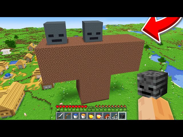 Minecraft but What's this Wither?!