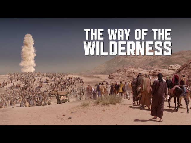 The Way of the Wilderness - with Timothy Mahoney and Steve Law