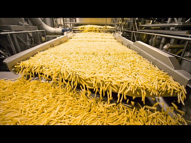 How It's Made French Fries