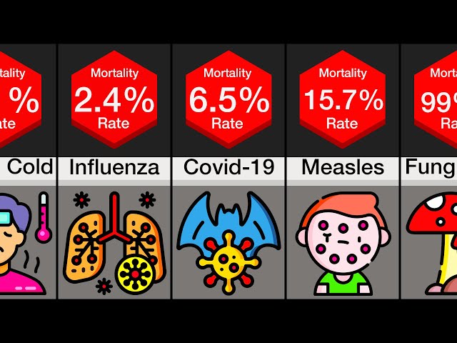 Comparison: Most Deadly Diseases