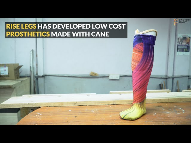 Startup Rise Legs has developed low cost cane prosthetics
