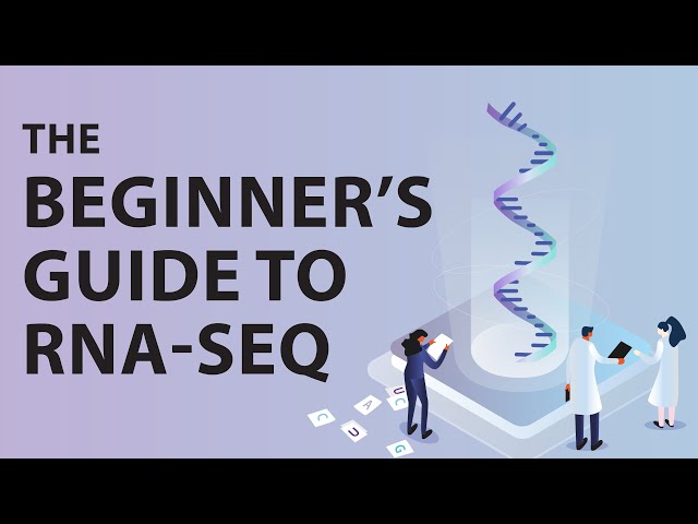 The Beginner's Guide to RNA-Seq - #ResearchersAtWork Webinar Series