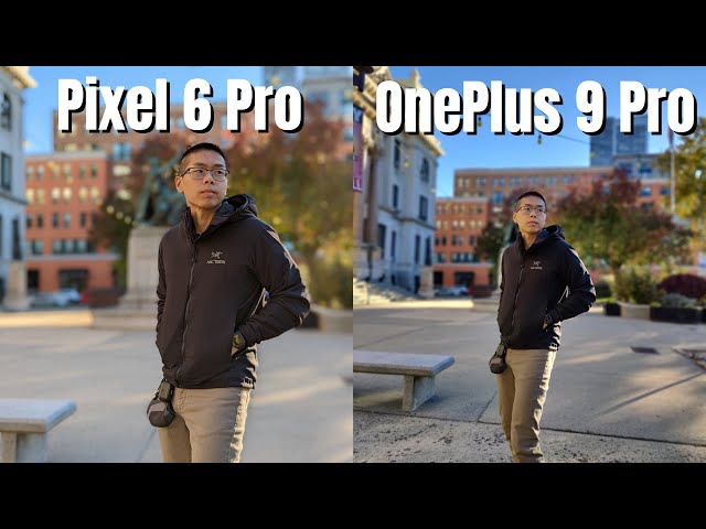 Pixel 6 Pro vs OnePlus 9 Pro Real World Camera Comparison