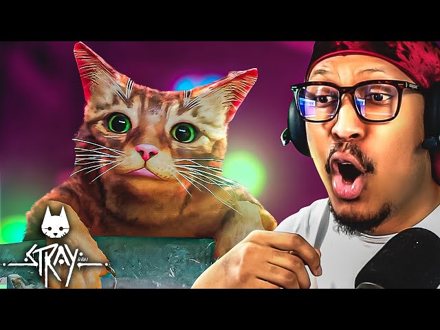 Known Cat Hater Plays Game About STRAY Cat
