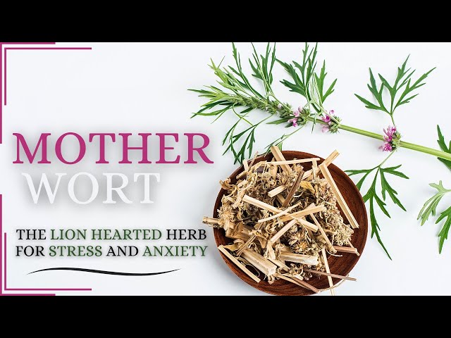 Motherwort Tincture Recipe  for Stress, Anxiety, Cardiac Health, Post Partum Depression.