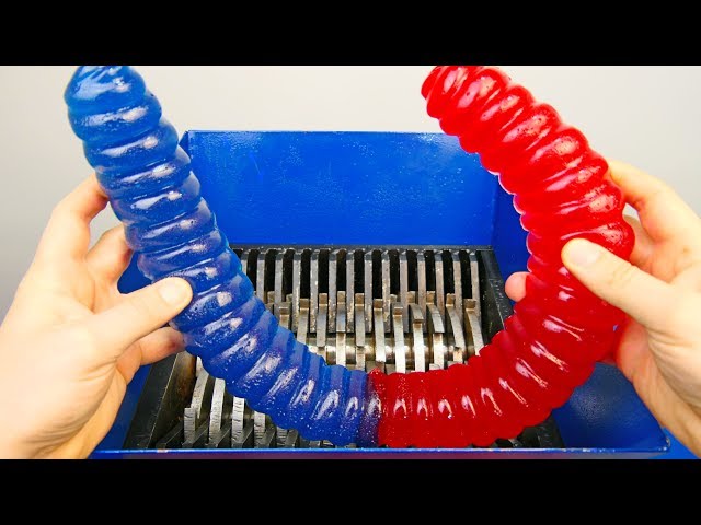 Shredding World's Largest Gummy Worm!