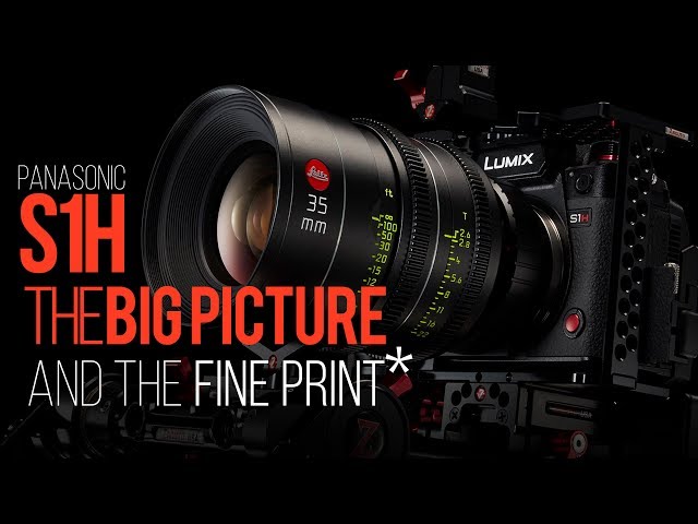 S1H: The BIG PICTURE and the fine print - Camera Preview