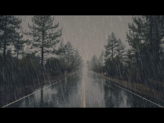 HEAVY RAIN IN A ROAD | 8-HOUR HEAVY RAIN SOUND TO SLEEP, STUDY AND RELAX