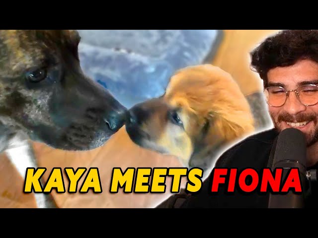 FIONA gets STUNLOCKED BY KAYA | First Meeting