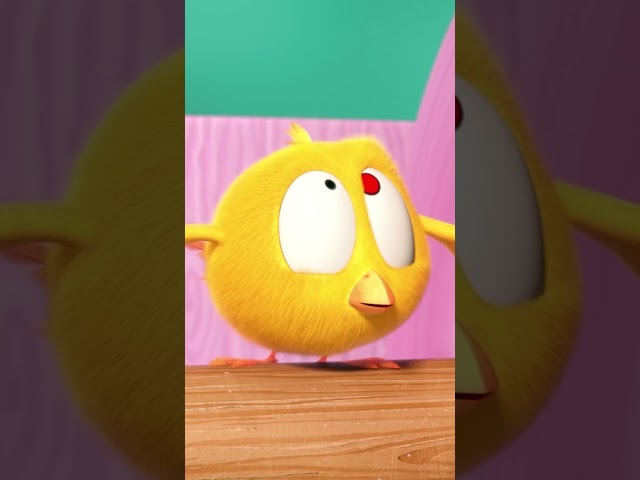Attacked by toilet paper! #cuteanimals #Shorts #Chicky | Cartoon for kids