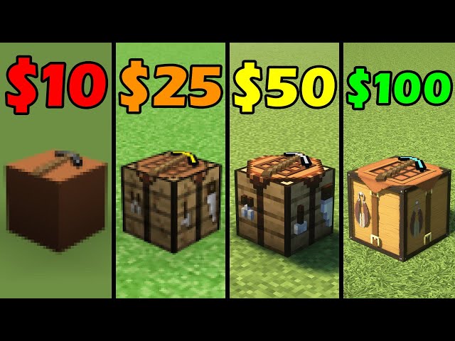 minecraft for 0$ vs 10$ vs 25$ vs 50$ vs 100$