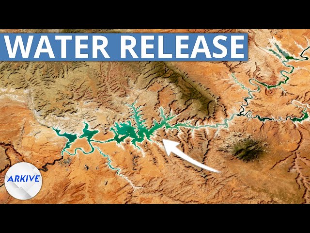 Lake Powell's Water Release, Explained