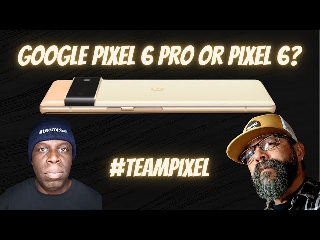 Google Pixel 6 Pro or Google Pixel 6? #TeamPixel