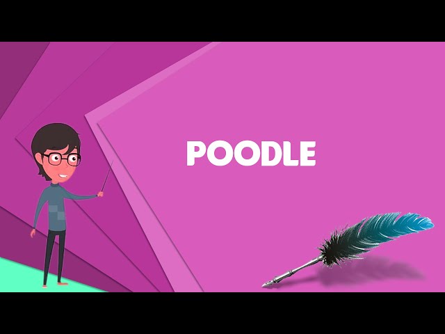 What is Poodle? Explain Poodle, Define Poodle, Meaning of Poodle