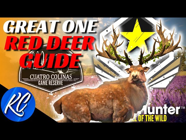 The COMPLETE Cuatro Colinas Great One Red Deer Guide - Hotspots, Loadouts & More | Call of the Wild