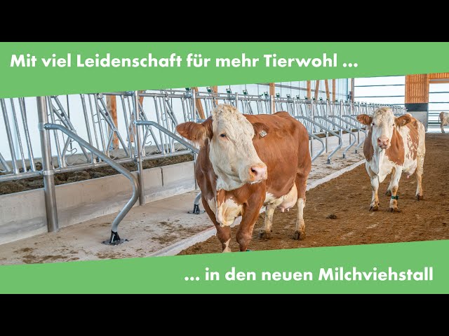 Mit viel Leidenschaft für mehr Tierwohl in den neuen Milchviehstall | Familie Pöhlmann | Kreuthof