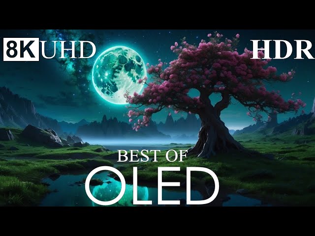 EXTREME CLARITY 8K HDR - Best Of OLED Demo 8K ULTRA HD