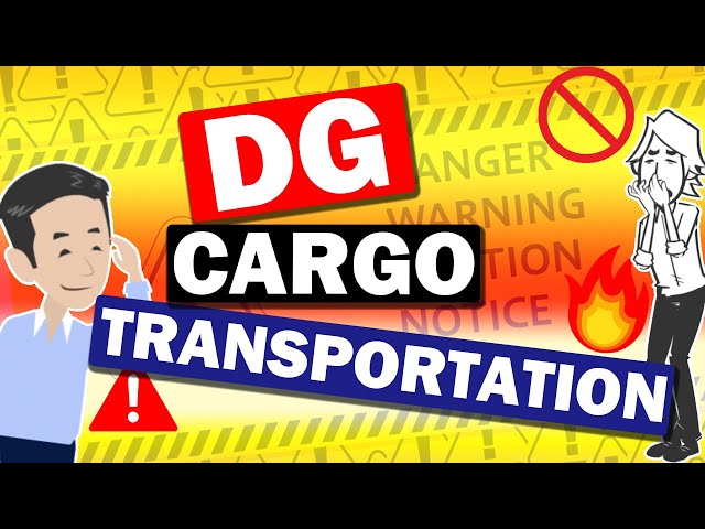 How to transport DG cargo? DG Class, UN number and how to check SDS for international logistics?