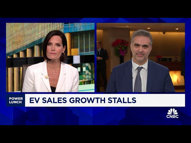 Volkswagen Group CEO Pablo Di Si: EV segment is slowing down
