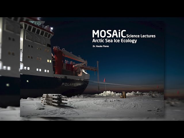 MOSAiC Science lectures - Arctic Sea Ice Ecology