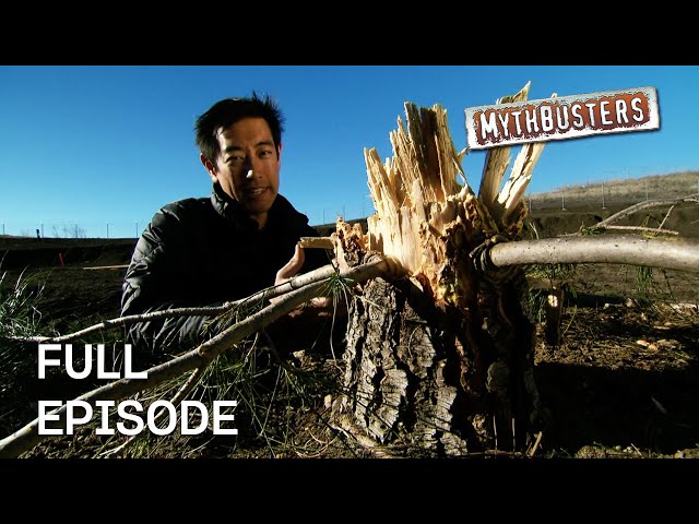 Chopping A Tree With A Dynamite Axe! | MythBusters | Season 8 Episode 2 | Full Episode