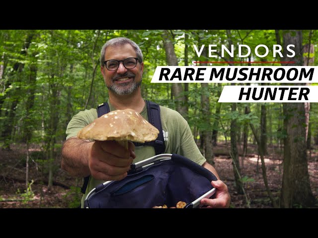 The Risk and Reward Behind Finding the Most Interesting Mushrooms in the Woods — Vendors
