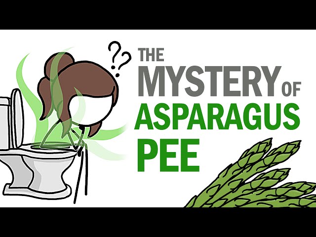 The Mystery Of Asparagus Pee