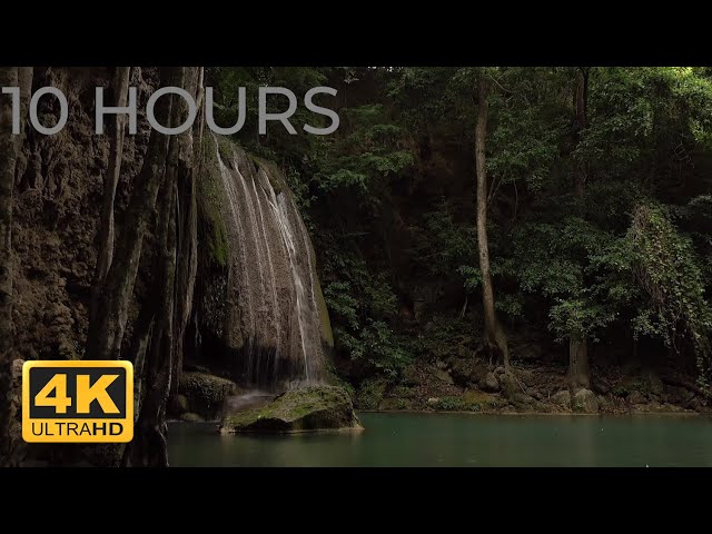 💧 Tropical Waterfall & Rain Sound in Forest 10 Hours Relaxing Nature Sounds for Sleep, Stress Relief